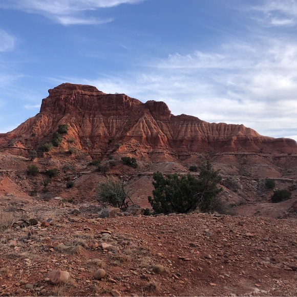 canyonpines